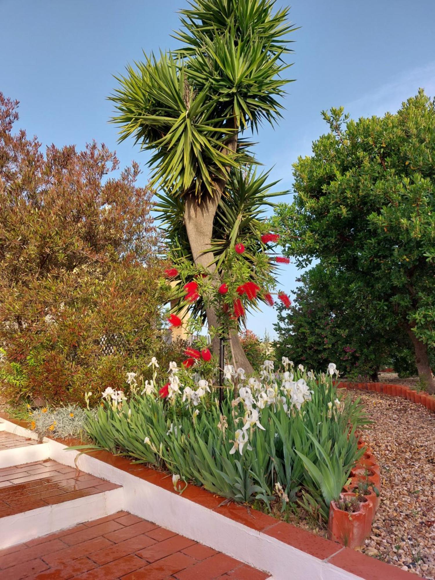 Tavira Vacations Apartments Eksteriør bilde